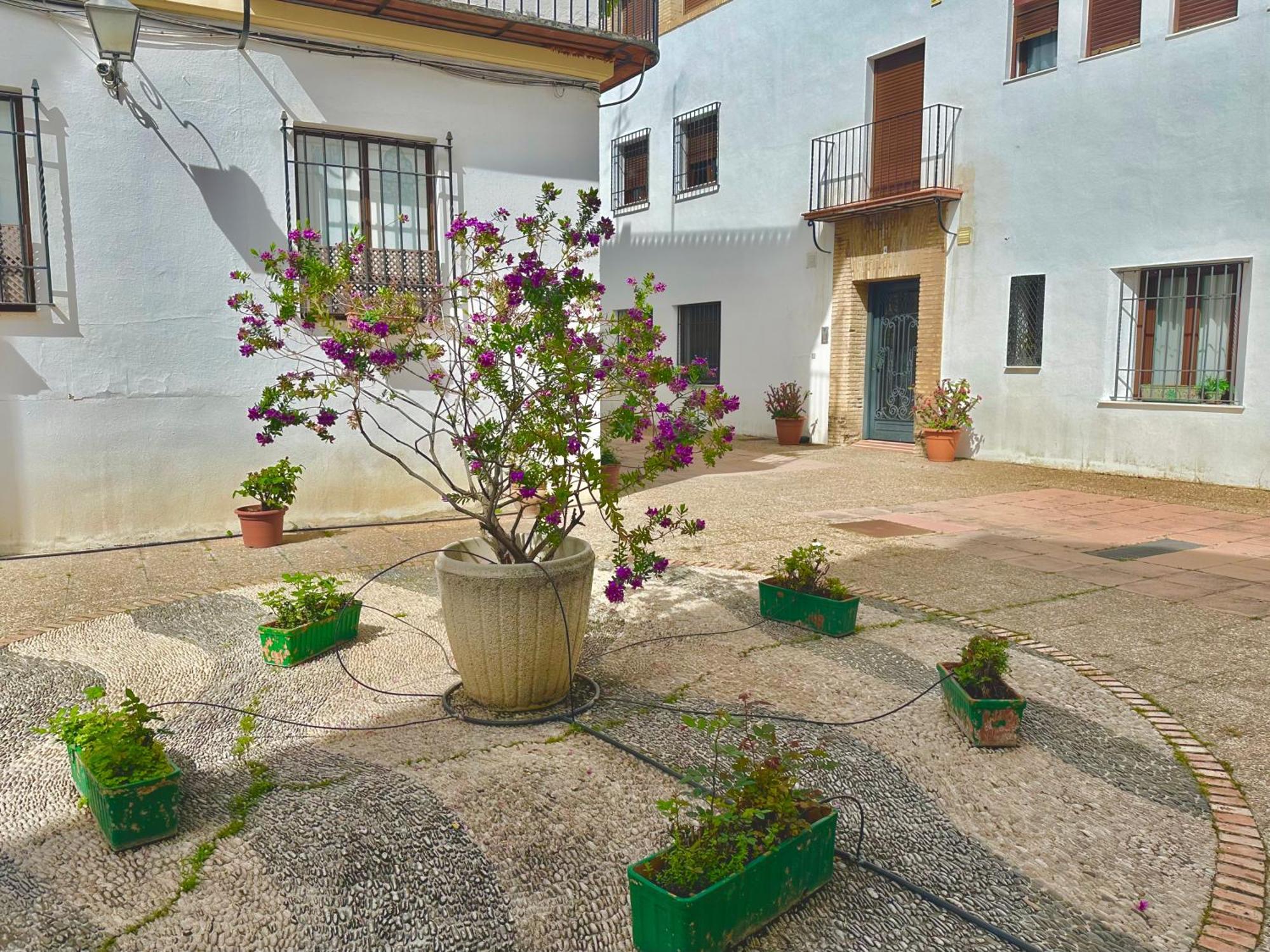 La Sacristia De San Pablo Apartment Cordoba Luaran gambar